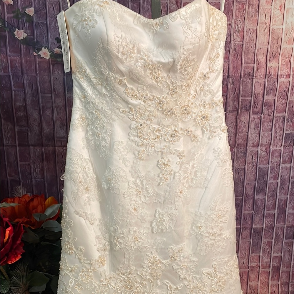Elegant White Lace Dress